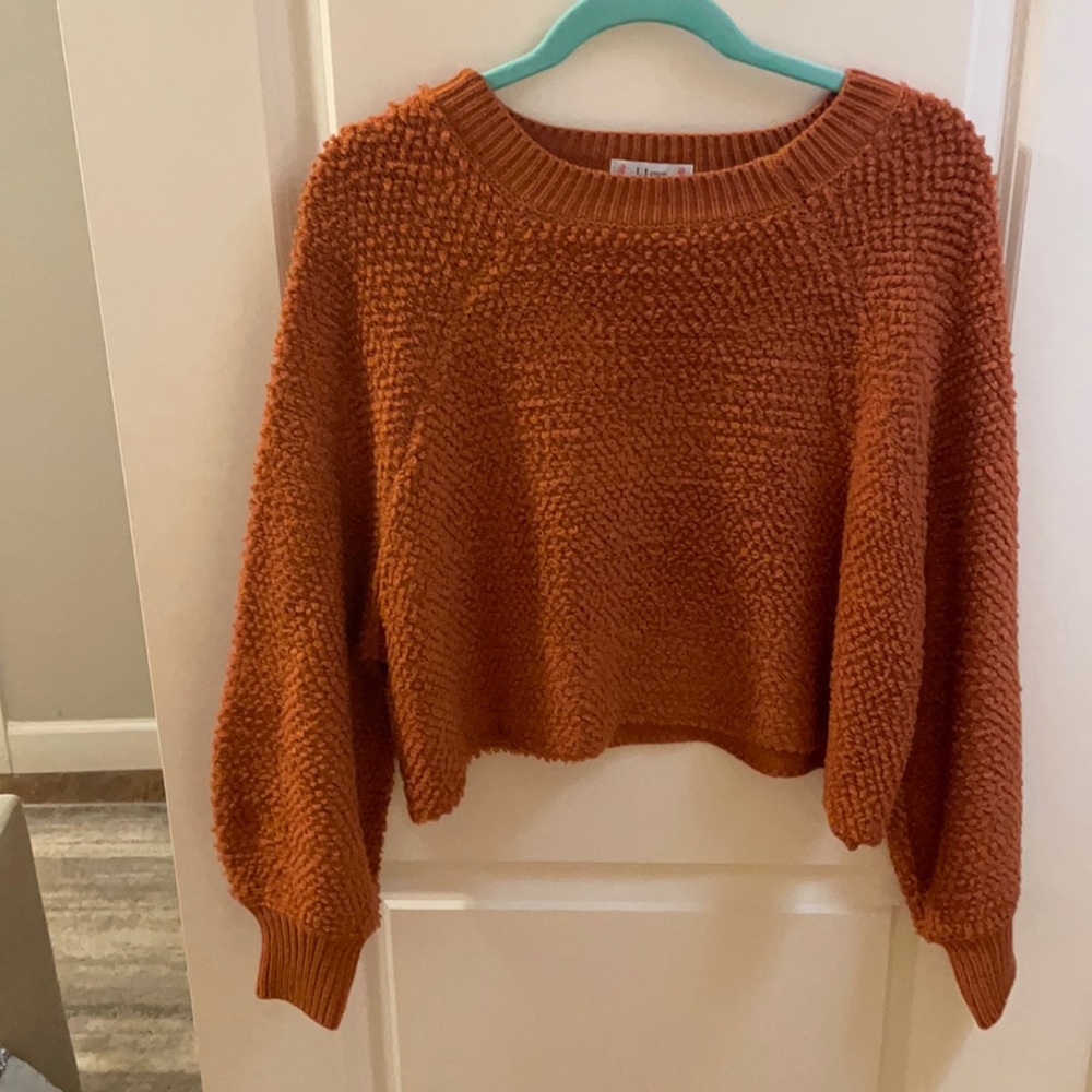 Cute cropped sweater